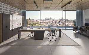 Кабинет руководителя TOWER