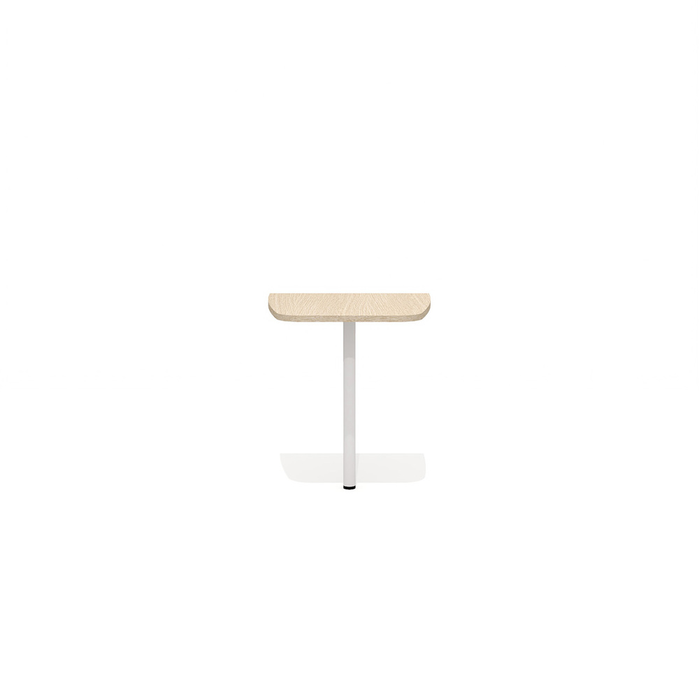 Брифинг с опорой