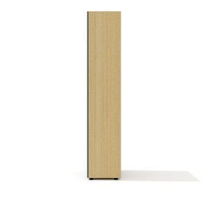 Высокий Шкаф с глухими дверьми