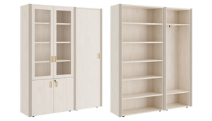 Шкаф для бумаг с одностворчатым гардеробом