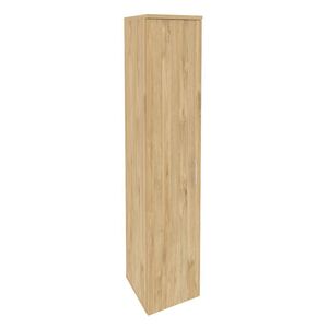 Шкаф высокий узкий левый